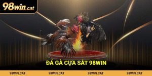 Đá gà cựa sắt