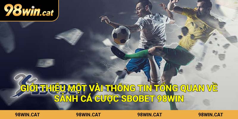Giới thiệu một vài thông tin tổng quan về sảnh cá cược Sbobet 98Win