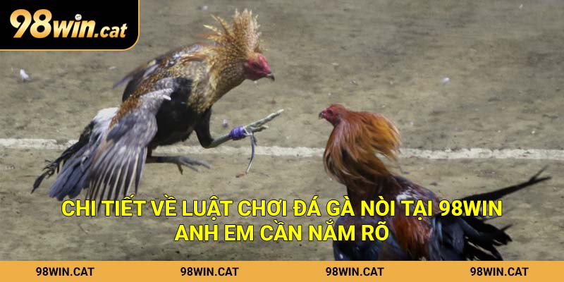Chi tiết về luật chơi đá gà nòi tại 98Win anh em cần nắm rõ